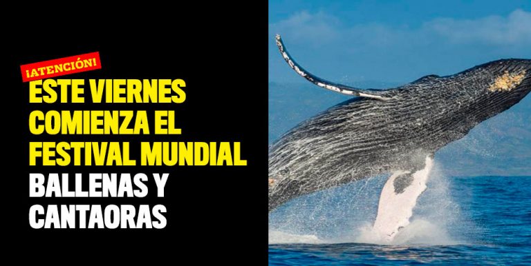 Este Viernes Comienza El Festival Mundial Ballenas Y Cantaoras