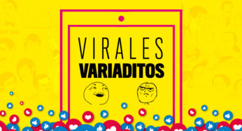 Virales variaditos