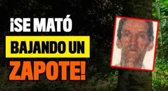 Se mató por bajar un zapote