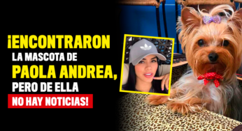 ¡Encontraron la mascota de Paola Andrea, pero de ella no hay noticias!