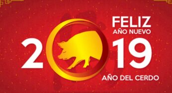2019 es el año chino del cerdo que augura diversión