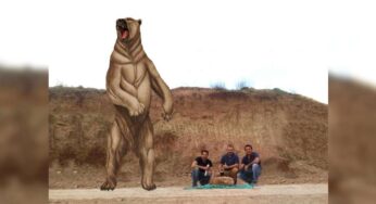 En Argentina descubrieron a un oso gigante que vivió hace 700.000 años