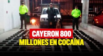 Cayó un millonario cargamento de droga