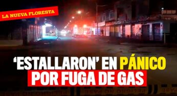 Pánico en la Nueva Floresta por fuga de gas