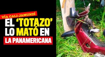 ¡El 'totazo' lo mató en la Panamericana!