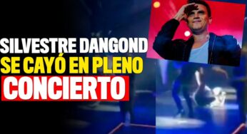 Silvestre Dangond se cayó en pleno concierto