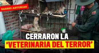 Cerraron la 'veterinaria del horror' de Cali