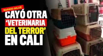 Así es por dentro la 'veterinaria del terror' del barrio Siloé