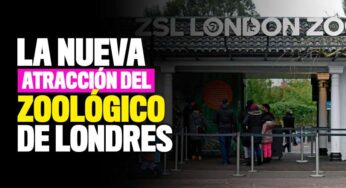 Video: El Zoológico de Londres inauguró una 'Aventura Animal' para los niños