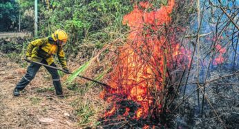 Van 18 incendios forestales en los 6 días de agosto