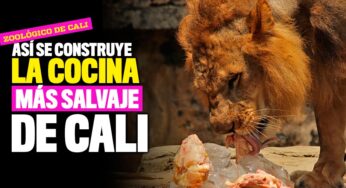 El Zoológico de Cali estrenará cocina para la dieta de los animales