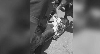 Un camión le habría aplastado el brazo a una mujer en la Simón Bolivar