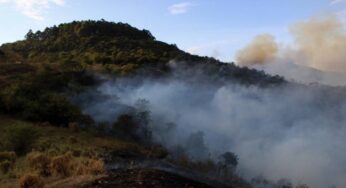 Anuncian plan de reforestación en zonas afectadas por incendios forestales en el Valle