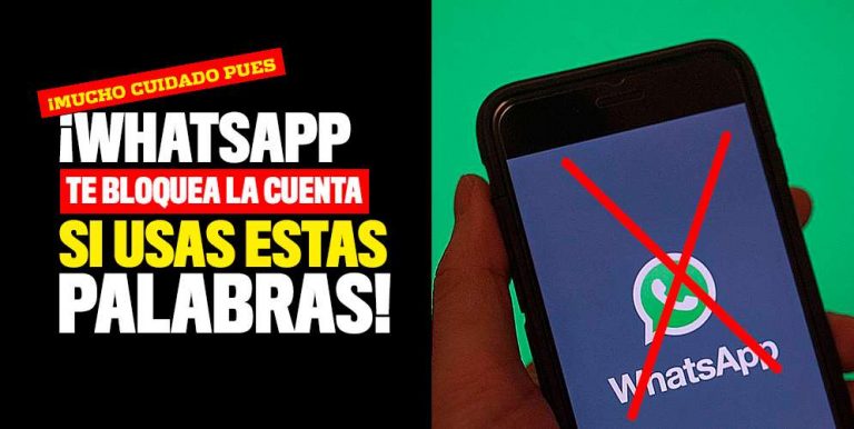 ¡whatsapp Te Bloquea La Cuenta Si Usas Estas Palabras Qhubo Cali 7356