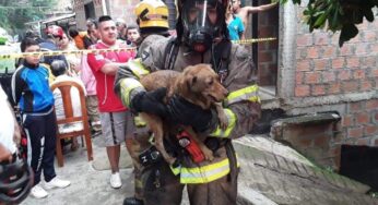 Seis personas y un 'peludito' fueron rescatados de un incendio en Terrón Colorado