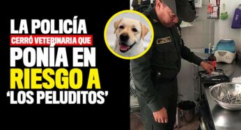 La Policía cerró veterinaria que ponía en riesgo a 'Los peluditos'