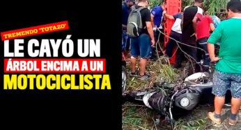 Le cayó un árbol encima a un motociclista en la Calle 70