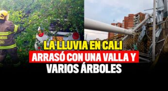 La lluvia en Cali arrasó no solo con la valla de la Pasoancho sino con varios árboles