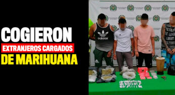 Cogieron extranjeros cargados de marihuana y lista para la venta