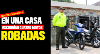 Estas son las motos robadas que encontraron en una casa de la Nueva Floresta