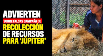 Advierten sobre falsas campaña de recolección de recursos para 'Júpiter'