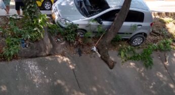 FOTOS: Un árbol lo salvó de caer al caño del barrio Santa Fe