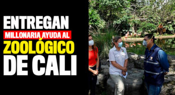 Entregan ayuda por $400 millones al Zoológico de Cali