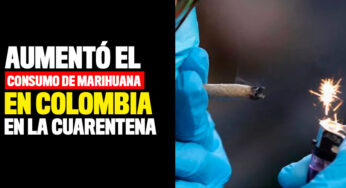 Aumentó el consumo de marihuana en Colombia durante la cuarentena
