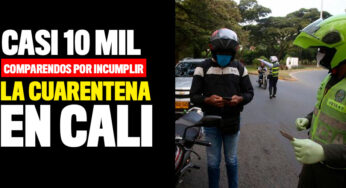Casi 10 mil comparendos se han interpuesto en Cali por incumplir la cuarentena