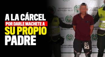 A la cárcel por intentar matar a su papá con un machete