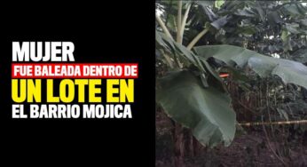 Mujer fue baleada dentro de un lote en el barrio Mojica