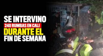Se intervinieron 240 rumbas en Cali este fin de semana