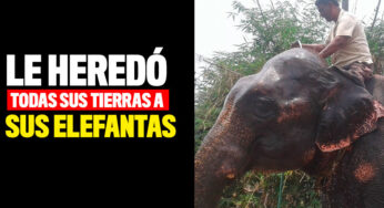 Le heredó todas sus tierras a sus elefantas