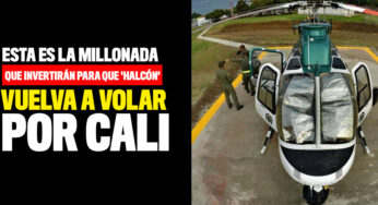 Esta es la millonada que invertirán para que 'Halcón' vuelva a volar por Cali