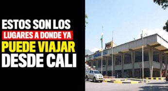 ¿Pensando en salir de Cali? Estos son los lugares a donde ya puede viajar desde la Terminal