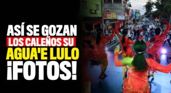 Así se están gozando los caleños su agua'e lulo ¡Fotos!