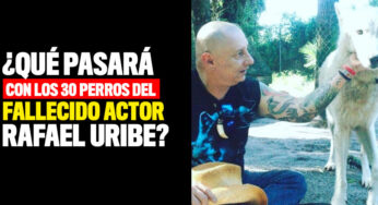 ¿Qué pasará con los 30 perros del fallecido actor Rafael Uribe?
