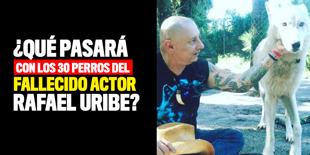 ¿Qué pasará con los 30 perros del fallecido actor Rafael Uribe?