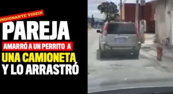 Video: Pareja amarró a un perrito a una camioneta y lo arrastró