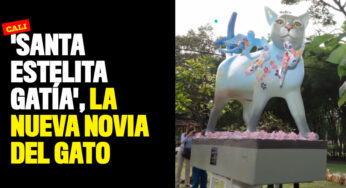 'Santa Estelita Gatía', la nueva novia de 'El Gato'