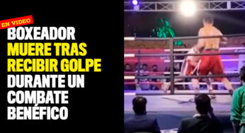 Video: Boxeador muere tras recibir golpe durante un combate benéfico