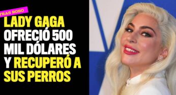 Lady Gaga ofreció 500 mil dólares y recuperó a sus perros robados