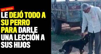Dejó toda la herencia a su perro para darle una lección a sus hijos