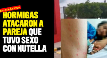 Hormigas atacaron a pareja que tuvo sexo con Nutella en Atlántico