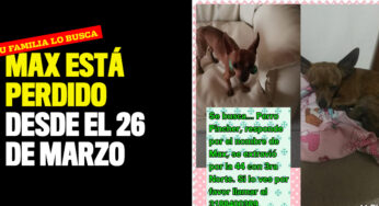 Max está perdido desde el 26 de marzo