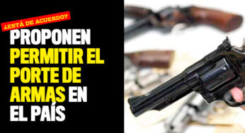 Proponen permitir el porte de armas en el país