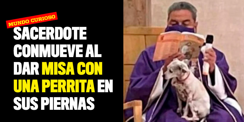 Sacerdote conmueve al dar misa con una perrita en sus piernas