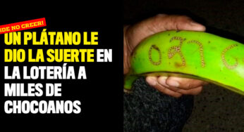 Número que apareció en un plátano le dio la lotería a miles de chocoanos