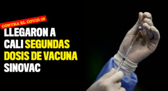 Llegaron a Cali segundas dosis de vacuna Sinovac