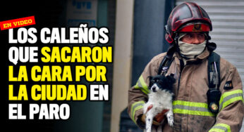 VIDEO: Los caleños que sacaron la cara por la ciudad en medio del paro